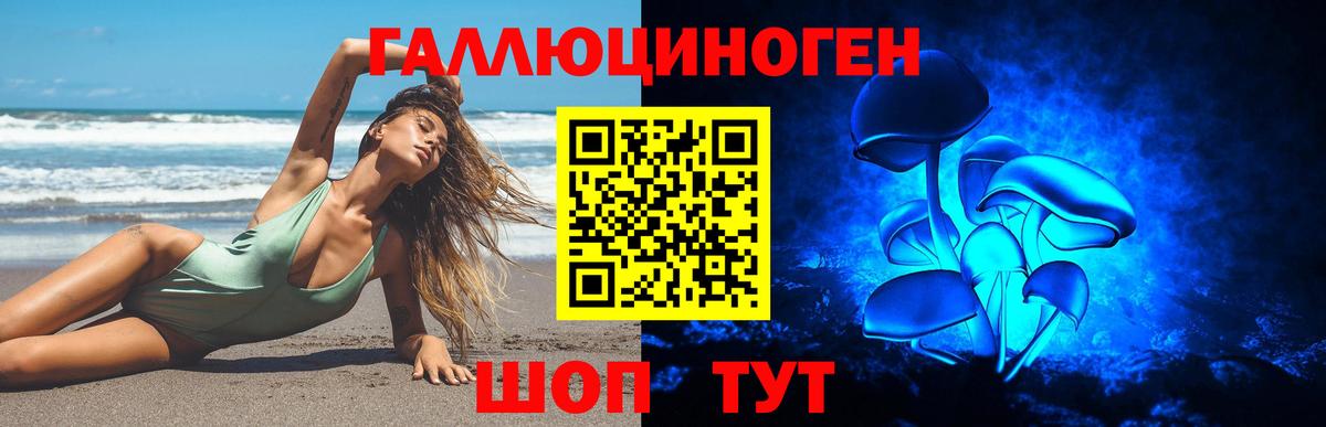 Псилоцибиновые грибы Psilocybine cubensis  Вход с VPN  Галлюциногенные грибы MAGIC MUSHROOMS  Урюпинск 